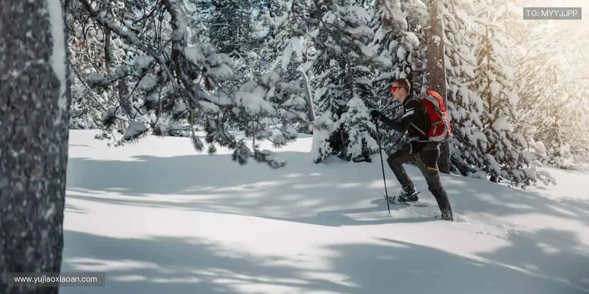 📱高清直击,赛事瞬间永不缺席!🎥